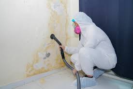 Why You Should Choose Our Mold Remediation Services in Victory Lakes, NJ